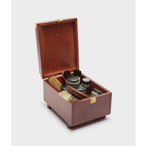 BOOT BLACK COMOPOLITAN SHOE CLEANING KIT